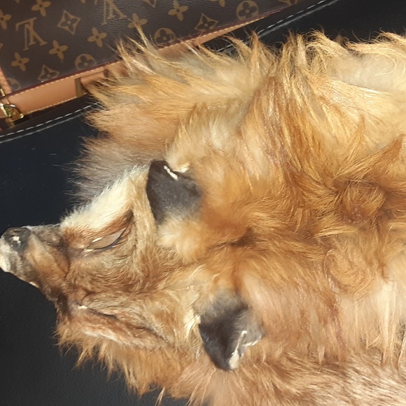 VINTAGE REAL FOX FUR FULL LENGTH SCARF MINT CONDITION - Picture 9 of 9